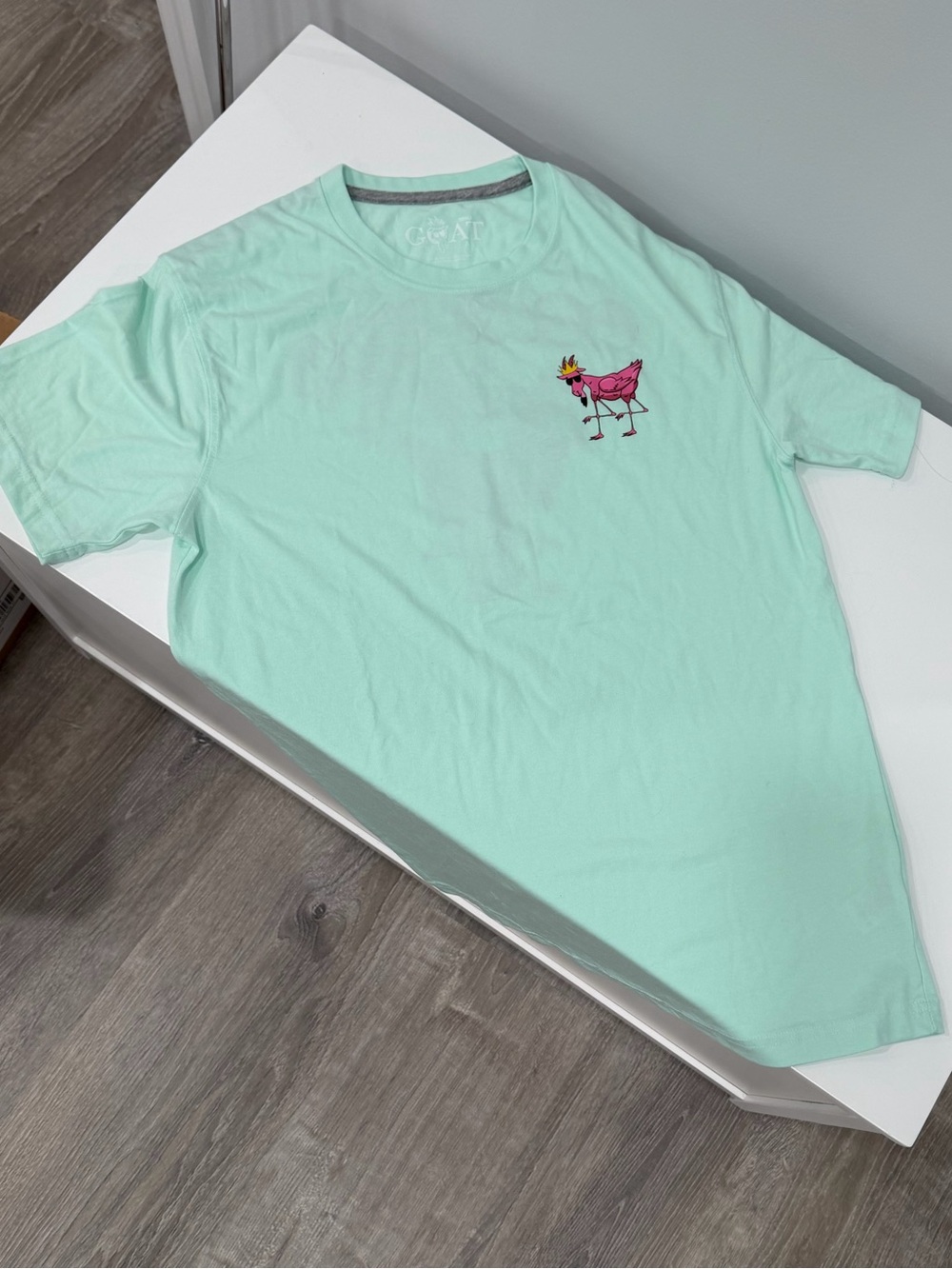 Goat Mint Green Short Sleeve Tee with Pink Graphic - never worn!